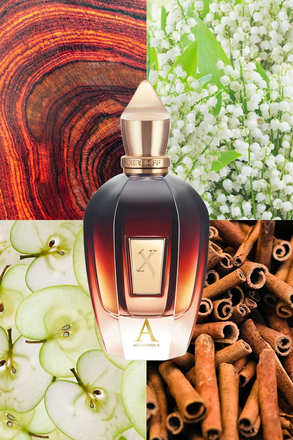 Xerjoff Alexandria II – Eau de Parfum